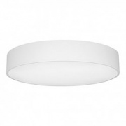 Светильник SP-TOR-TB600SW-50W Day White